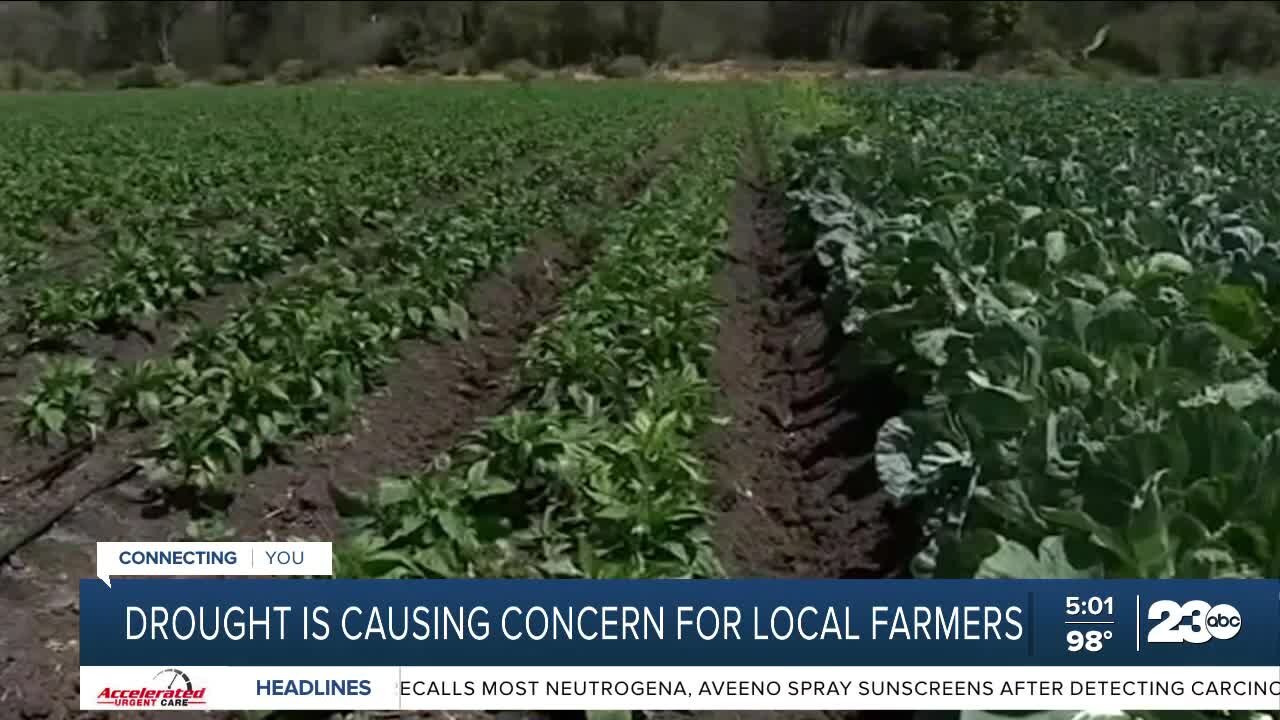 Drought is causing concern for local farmers