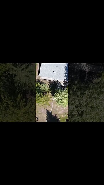 Above my Brothers place in Alberta. #shorts #alberta