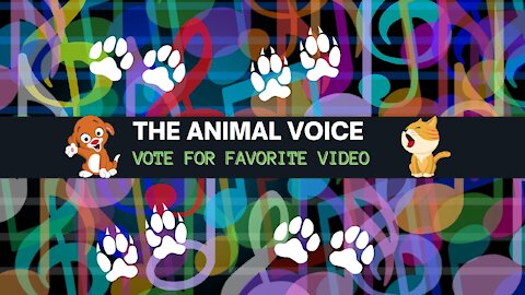 The ANIMAL Voice