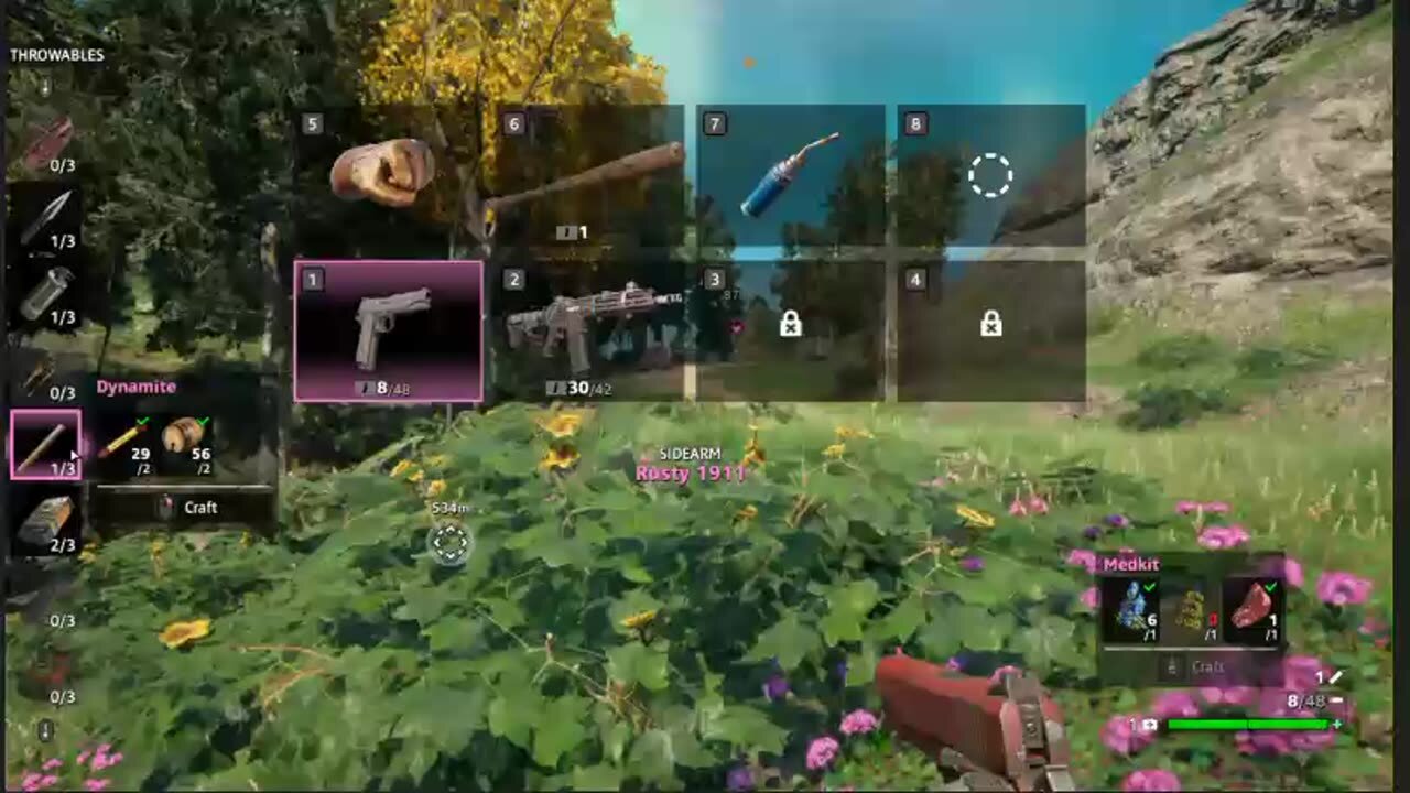 Far Cry New Dawn Funn