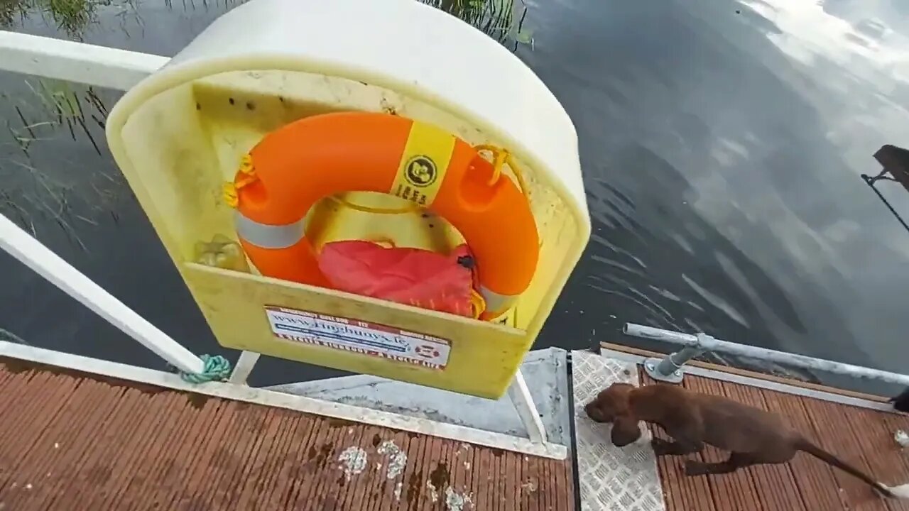 Finn Goes Swimming
