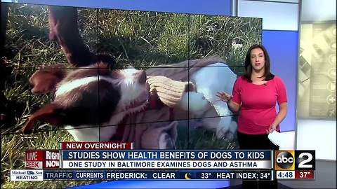 Having a dog around may be healthy for children