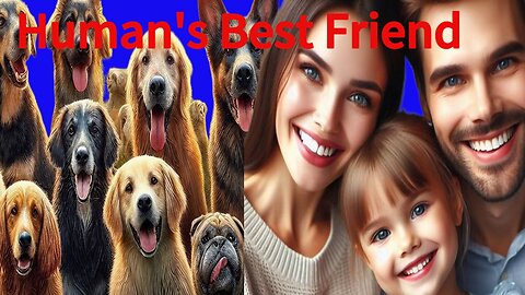 Paws and Companionship: Exploring the Heartwarming Connection Between Humans and Dogs