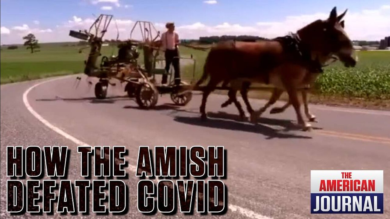 MUST WATCH: How The Amish Beat Covid In Two Months