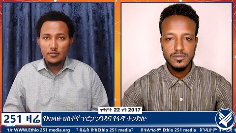 የአገዛዙ ሀሰተኛ ፕሮፓጋንዳና የፋኖ ተጋድሎ | November 1 2024 | 251 Zare | ETHIO 251 MEDIA