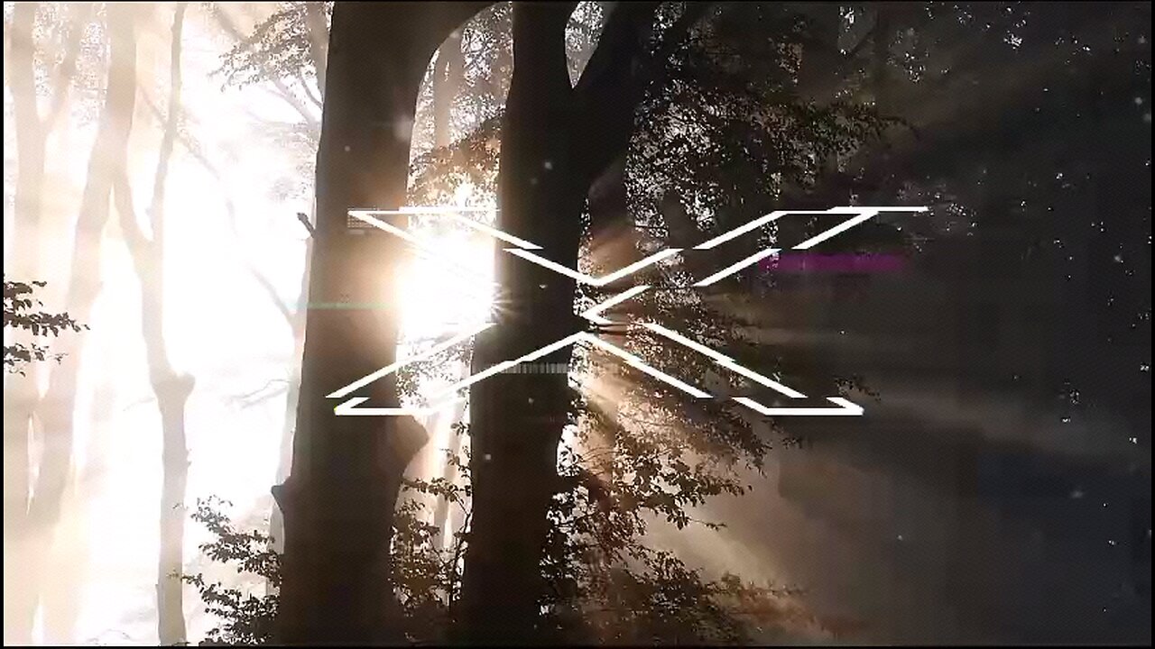 X man / the age of bladdes / 2024