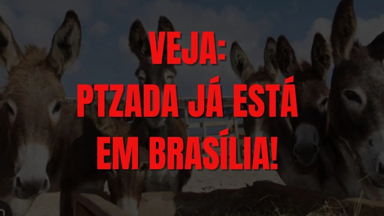 07 DE SETEMBRO! PTZADA JÁ ESTÁ CONCENTRADA EM BRASÍLIA! VEJA AS IMAGENS!