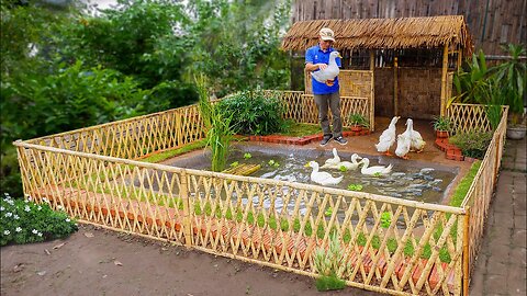 How to build aquarium to raise fish and ducks together for your home