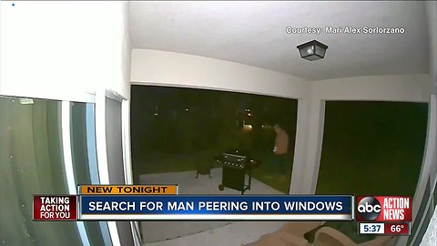 Pasco County deputies search for man they say peered into child's bedroom window