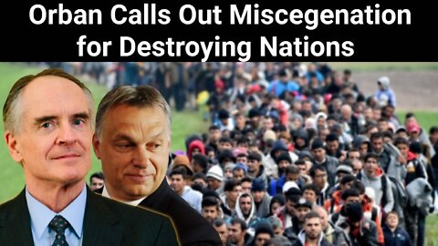 Jared Taylor || Orban Calls Out Miscegenation for Destroying Nations