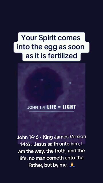 John 14:6 - King James Version 14:6 : Jesus saith unto him, I am the way, the truth, and the life: