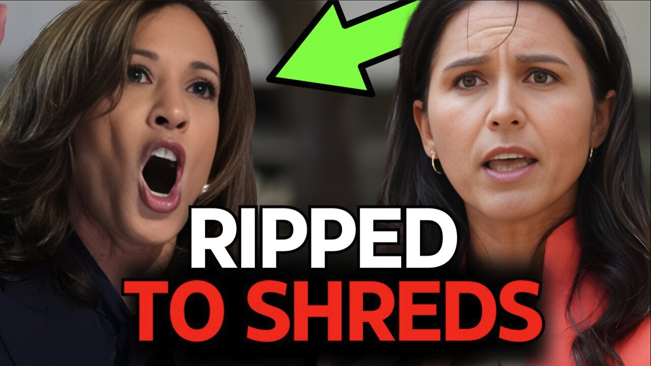 Tulsi Gabbard SHREDS Kamala harris