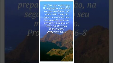 VERSÍCULO DO DIA 20/10/2022.#shorts