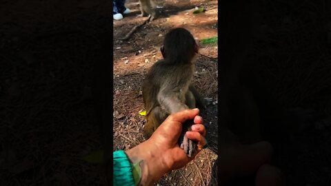 His face at the end🥺😂😂😂