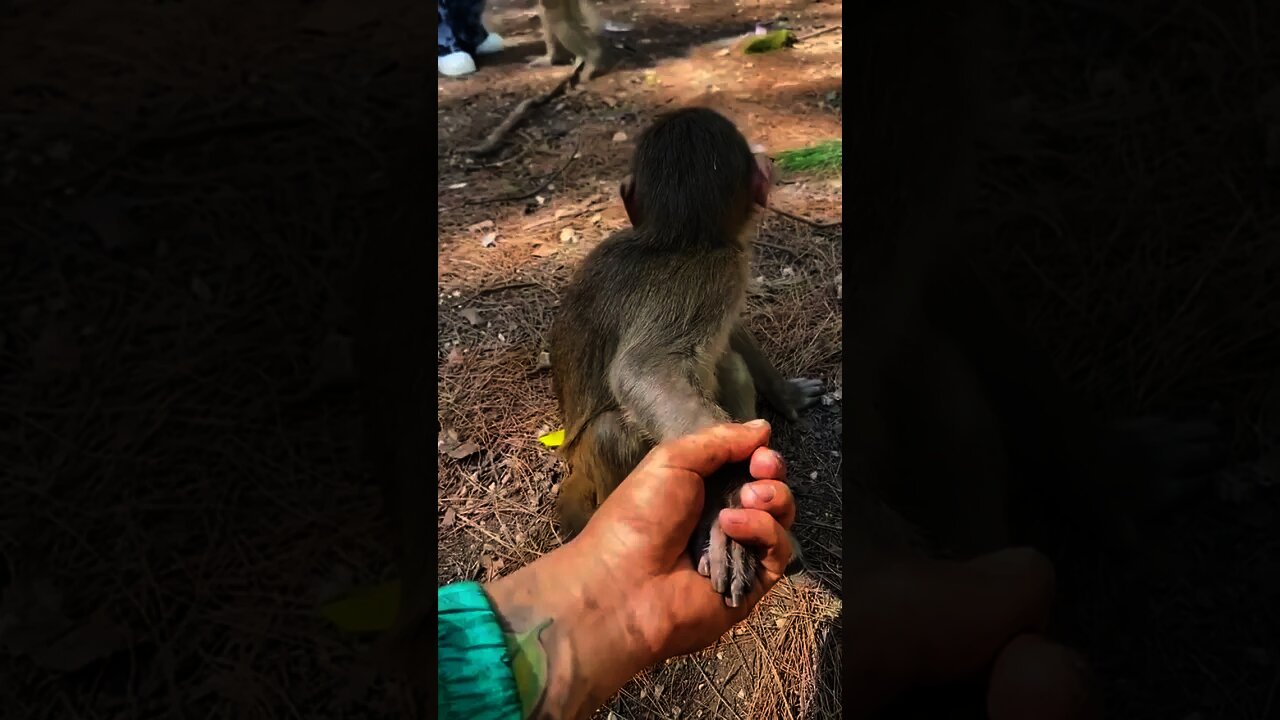 His face at the end🥺😂😂😂