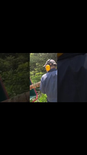 Tractor-Mounted Wood Chipper in Action!