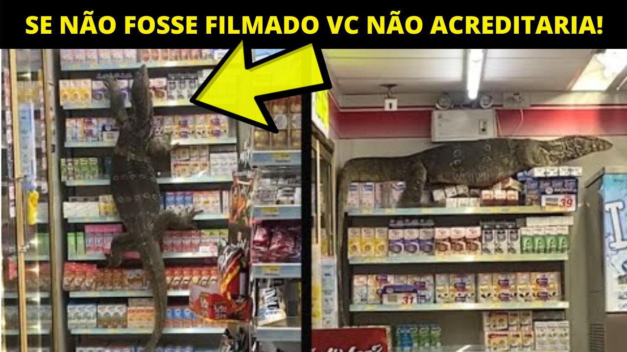 Giant Lizard Takes Over Store does damage in store and scale unbelievable shelves