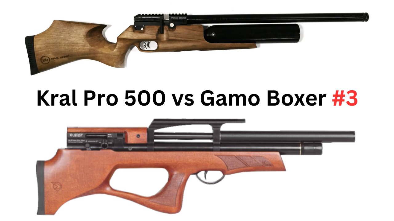 Kral Puncher 500 PR0 Vs Gamo Boxer