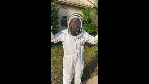 Angry HUGE colony