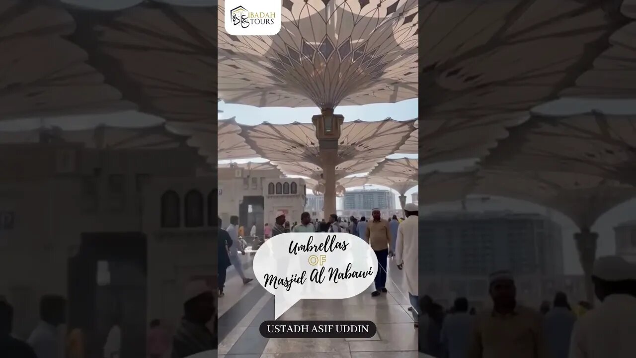 Umbrellas of Madinah #education #madinah #madina #masjidnabawi #muslim #muslimah #share #subscribe