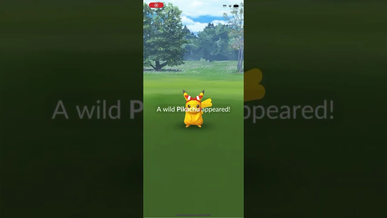 Shiny Compilation