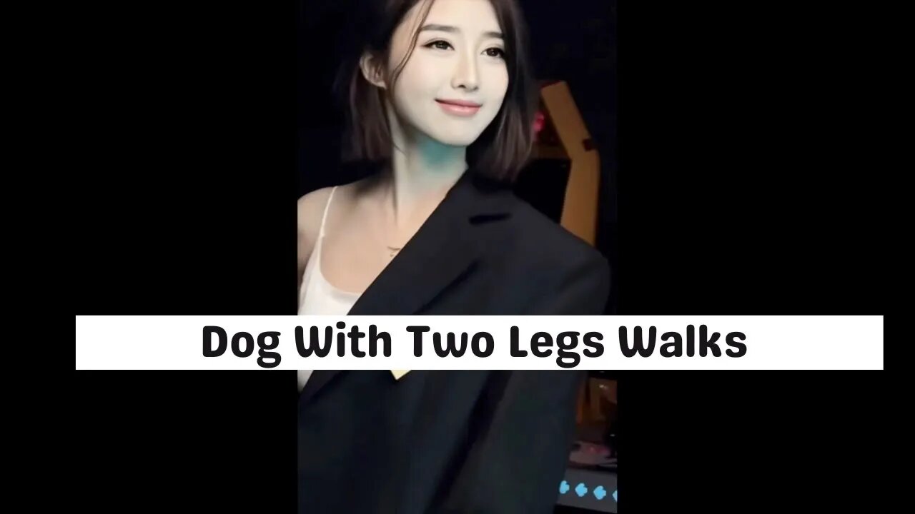 Two Legged Dog Walks With Chinese Girl