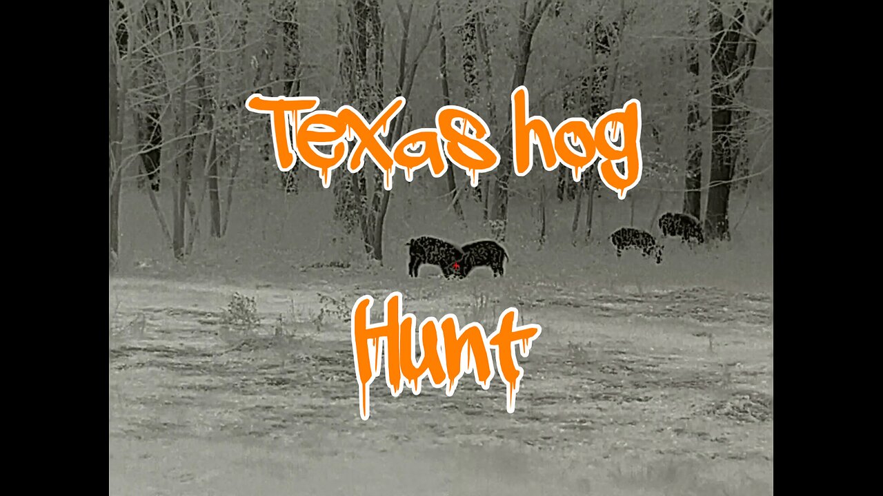 Texas hog hunt