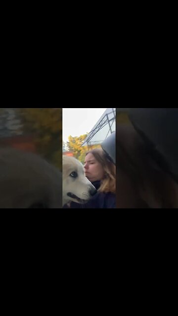 Just relax they’re handling the situation whatever that is 🪣✋