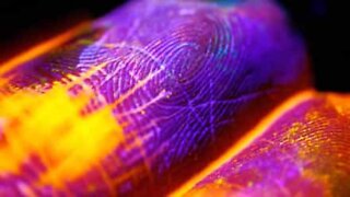 A pele humana filmada como se fosse um rio fluorescente