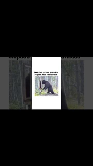 Você mesmo. #investimento #bolsadevalores #educaçãofinanceira