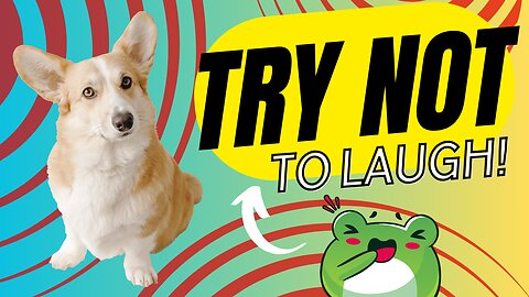 Funny Animals that look like "MEMEs"