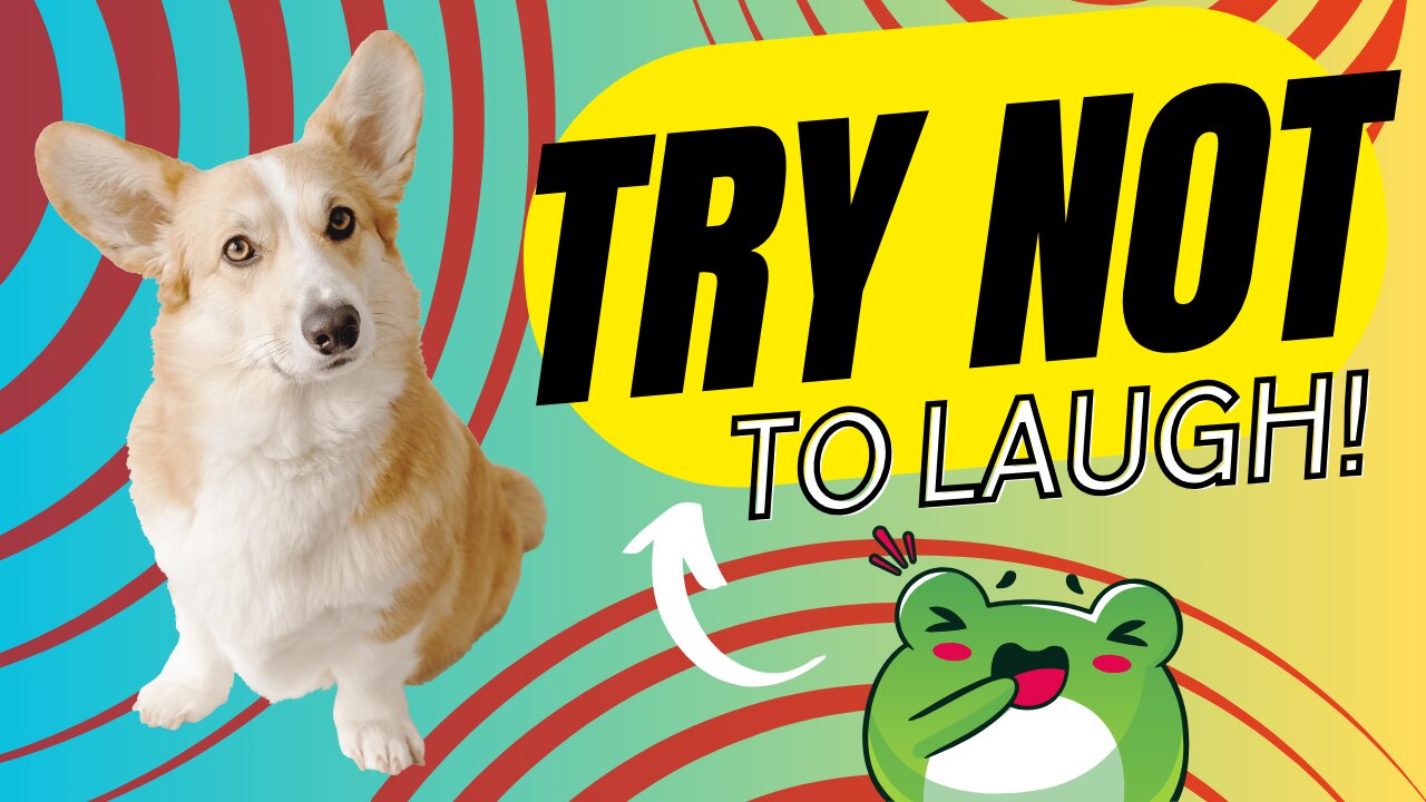 Funny Animals that look like "MEMEs"