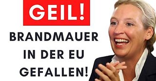 CDU stimmt AfD-Antrag zu – Grüne rasten komplett aus!