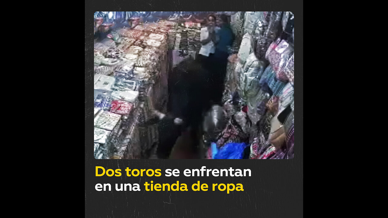 Dos toros se embisten dentro de una tienda de ropa en la India
