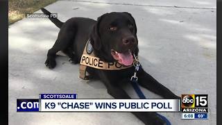 Scottsdale police name new K9 officer