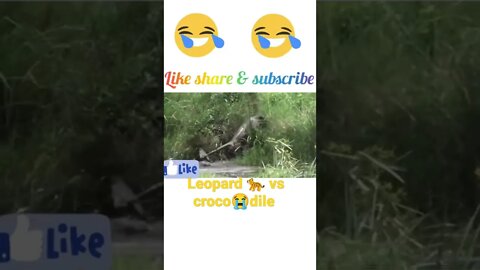 crocodile 🐊 attack to Leopard 🐆#shorts #youtubeshorts