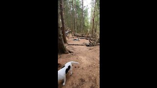 Wild camping