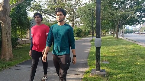 checking out the traffic on the bike Lane