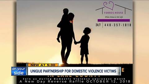 First of its kind partnership in Lake County helps domestic violence victims