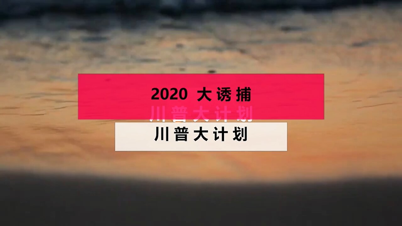 27（2020.12.4）川普大计划：2020大诱捕。深入揭开川普大诱捕计划。。一定要看，不仅开智，还让你能看到未来那些大佬，各自的下场。同时看到未来世