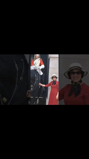 She holds the reins after her friend was told not to part two #horseguardsparade