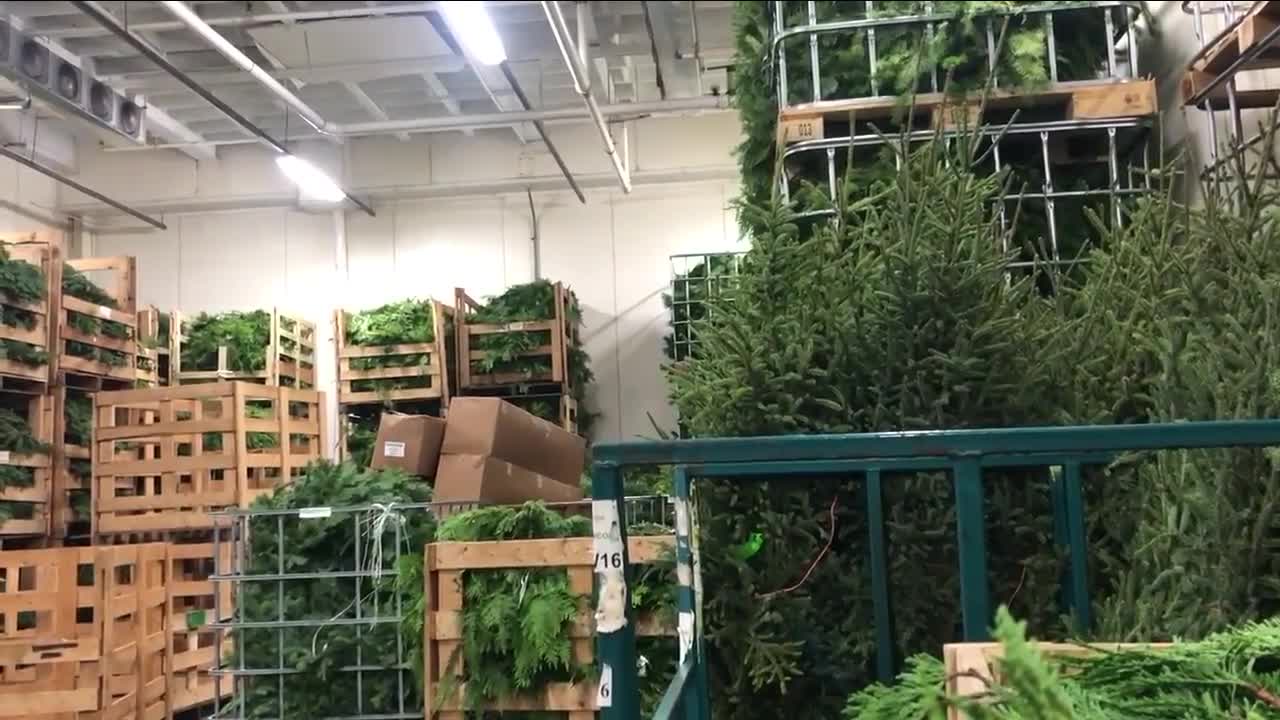 The Cleveland company you've never heard of that helps bring Christmas to homes all over the country