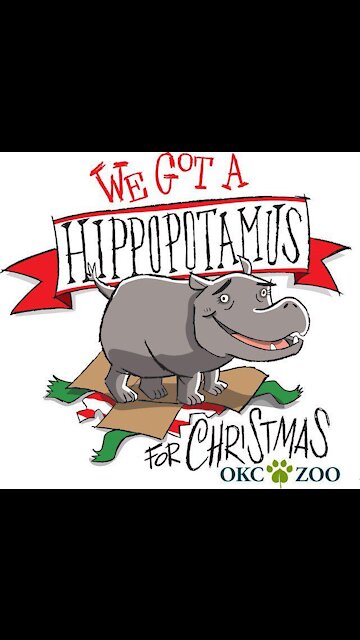 I Want a Hippopotamus from the OKC Zoo! - Oklahoma City