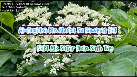 ❤️ Al-Mughira bin Shu`ba Se Rawayat Hai, Nabi Aik Safar Mein Sath Tay, Hadith182, Sahih Bukhari❤️