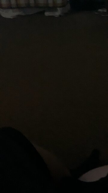 Major Monogram Status