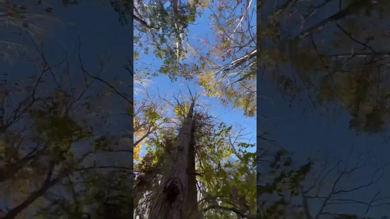 October Chill Day in Canada