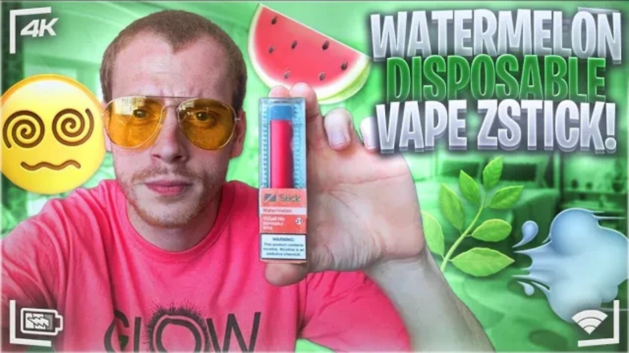 300 Puff Watermelon Dispo Sesh (ZStick)