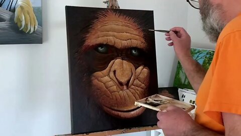 Green Eyed Chimp Timelapse