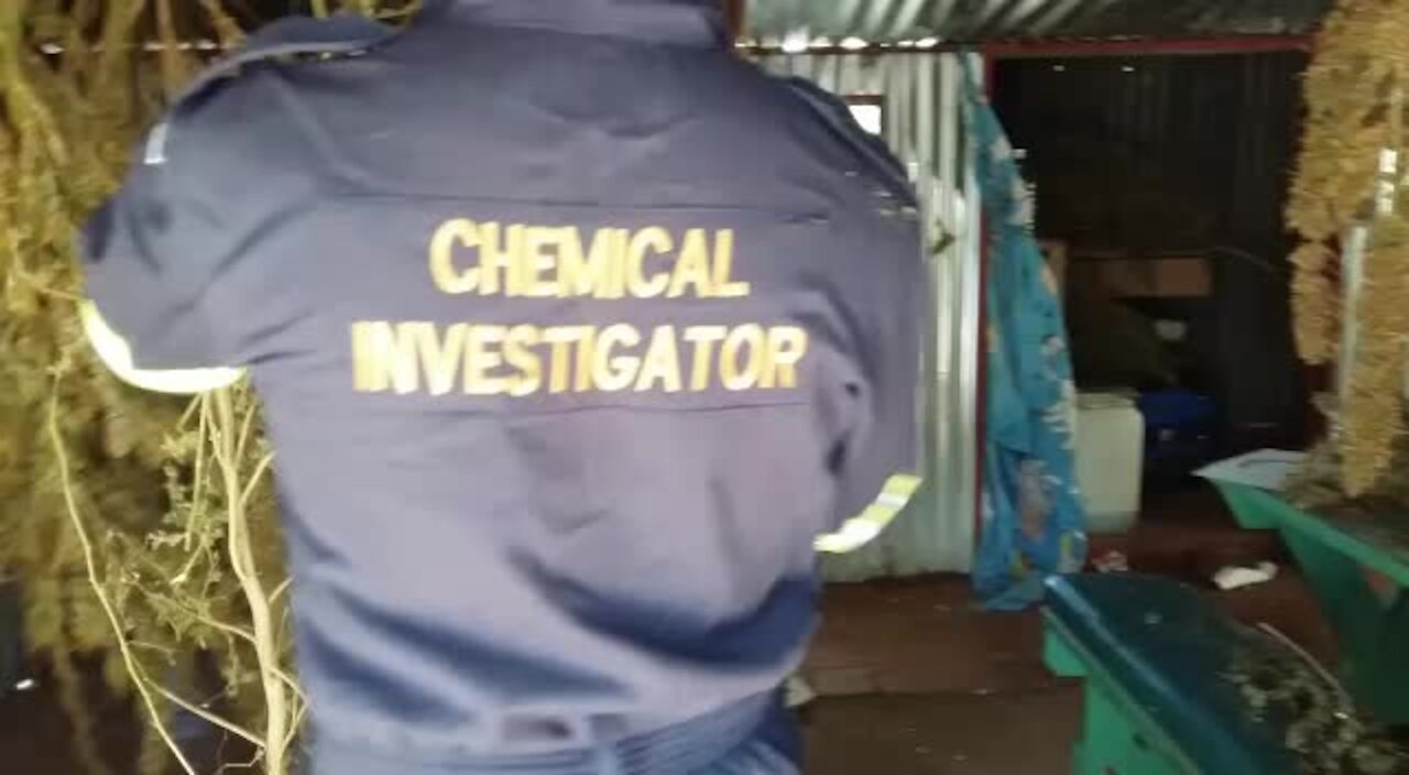 SOUTH AFRICA - Pretoria - Massive Drug Bust in Hammanskraal (Video) (UUU)