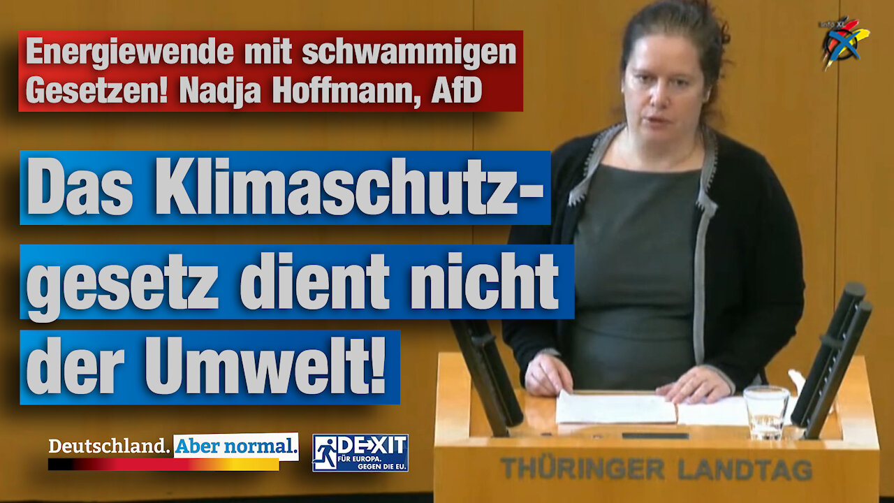 Energiewende mit schwammigen Gesetzen! Nadja Hoffmann, AfD